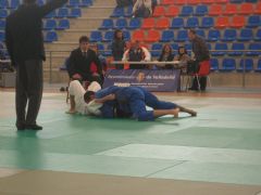 Campeonato abierto con videntes