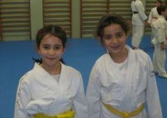 Entrenamiento Cinturones Color