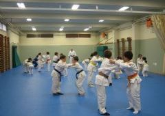 Entrenamiento Cinturones Color