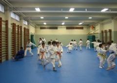 Entrenamiento Cinturones Color