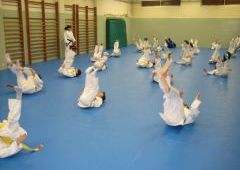 Entrenamiento Cinturones Color