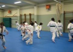 Entrenamiento Cinturones Color