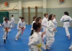 Entrenamiento Cinturones Color