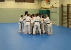 Entrenamiento Cinturones Color