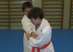 Entrenamiento Cinturones Color