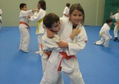 Entrenamiento Cinturones Color