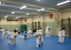 Entrenamiento Cinturones Color