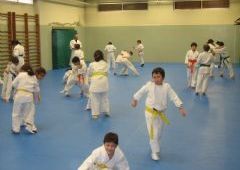 Entrenamiento Cinturones Color