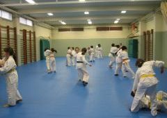 Entrenamiento Cinturones Color