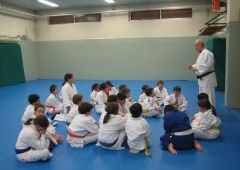 Entrenamiento Cinturones Color