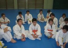 Entrenamiento Cinturones Color