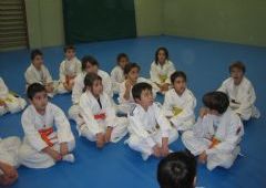 Entrenamiento Cinturones Color