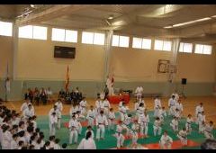 Festival de Judo 2011 - C.D. Maristas La Inmaculada
