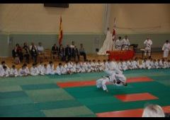 Festival de Judo 2011 - C.D. Maristas La Inmaculada