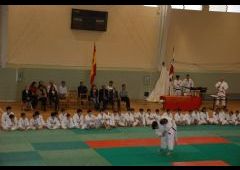 Festival de Judo 2011 - C.D. Maristas La Inmaculada