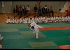 Festival de Judo 2011 - C.D. Maristas La Inmaculada