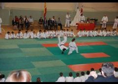 Festival de Judo 2011 - C.D. Maristas La Inmaculada