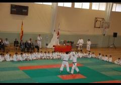 Festival de Judo 2011 - C.D. Maristas La Inmaculada