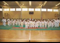 Festival de Judo 2011 - C.D. Maristas La Inmaculada