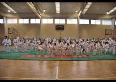 Festival de Judo 2011 - C.D. Maristas La Inmaculada