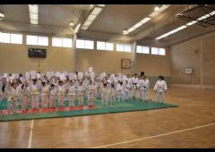 Festival de Judo 2011 - C.D. Maristas La Inmaculada