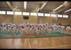 Festival de Judo 2011 - C.D. Maristas La Inmaculada
