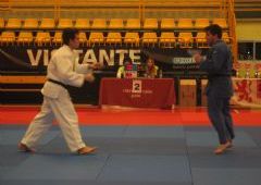 VIII Memorial Inmaculada Hern�ndez - Categor�a Junior