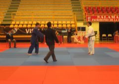 VIII Memorial Inmaculada Hern�ndez - Categor�a Junior