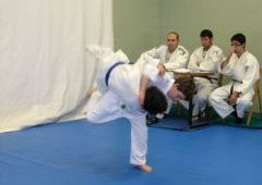 Exmenes para paso de grado - de Blanco-Amarillo a Marrn