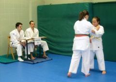 Exmenes para paso de grado - de Blanco-Amarillo a Marrn