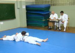 Exmenes para paso de grado - de Blanco-Amarillo a Marrn