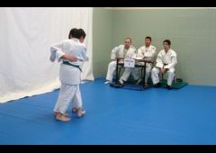 Exmenes para paso de grado - de Blanco-Amarillo a Marrn