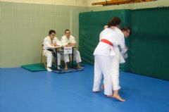 Exmenes para paso de grado - de Blanco-Amarillo a Marrn