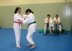 Exmenes para paso de grado - de Blanco-Amarillo a Marrn