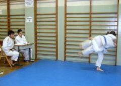 Exmenes para paso de grado - de Blanco-Amarillo a Marrn