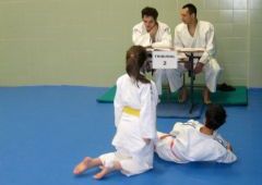 Exmenes para paso de grado - de Blanco-Amarillo a Marrn