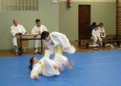 Exmenes para paso de grado - de Blanco-Amarillo a Marrn