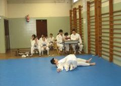 Exmenes para paso de grado - de Blanco-Amarillo a Marrn