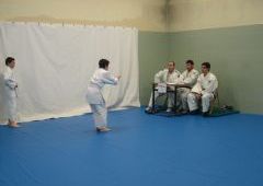 Exmenes para paso de grado - de Blanco-Amarillo a Marrn