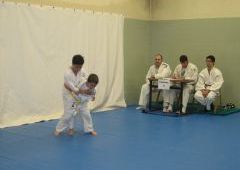 Exmenes para paso de grado - de Blanco-Amarillo a Marrn