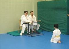 Exmenes para paso de grado - de Blanco-Amarillo a Marrn