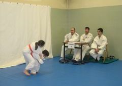 Exmenes para paso de grado - de Blanco-Amarillo a Marrn