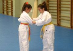 Exmenes para paso de grado - de Blanco-Amarillo a Marrn