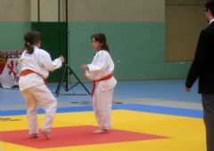 Campeonato Regional de Edad Alev�n y Benjam�n (Palencia)