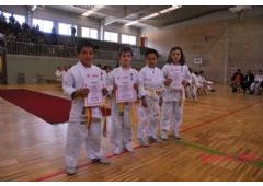 Festival de Judo y Entrega de Diplomas