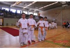 Festival de Judo y Entrega de Diplomas