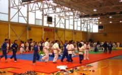 IV Campeonato Internacional de Judo-Copa de Espaa Cadete-Burgos