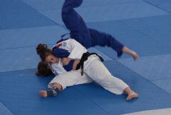 Fase de Sector Campeonato de Espa�a Junior