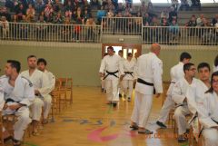 XXXV Festival de Judo y entrega de Diplomas y Mritos