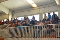 XXXV Festival de Judo y entrega de Diplomas y Mritos